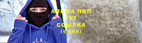 твердый Майский