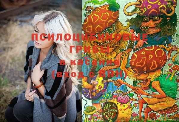молекула духа Магадан