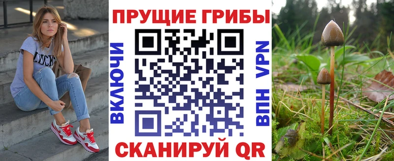 Псилоцибиновые грибы Psilocybine cubensis  ОМГ ОМГ как зайти  Новоуральск 