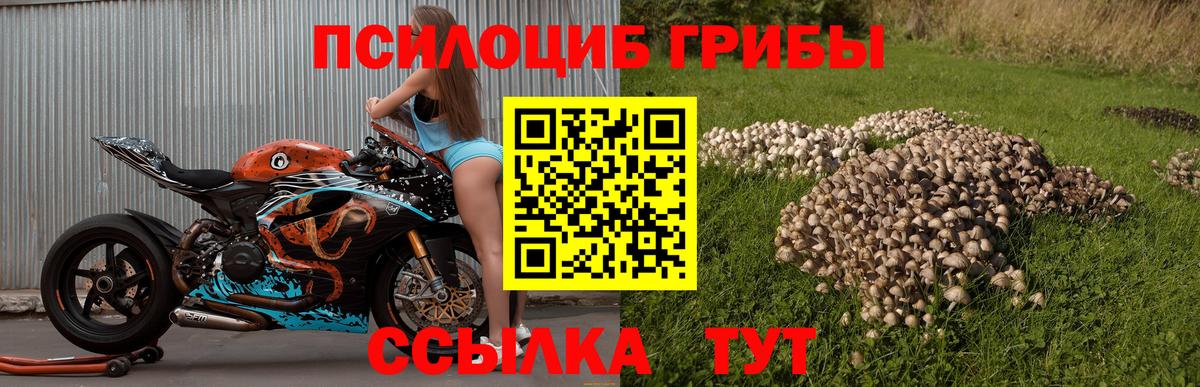 Галлюциногенные грибы Cubensis Новоуральск