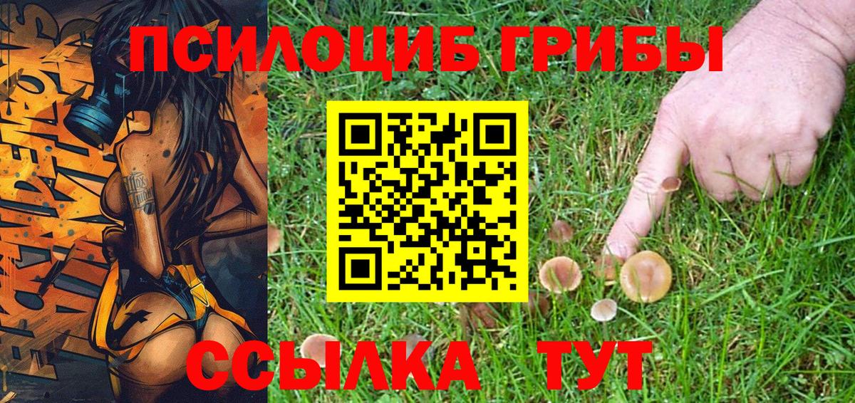 Псилоцибиновые грибы MAGIC MUSHROOMS Новоуральск