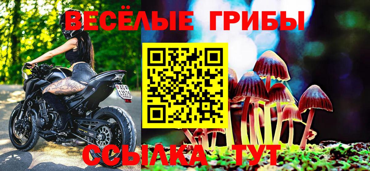 Псилоцибиновые грибы GOLDEN TEACHER  Вход с VPN  где можно купить   Новоуральск 